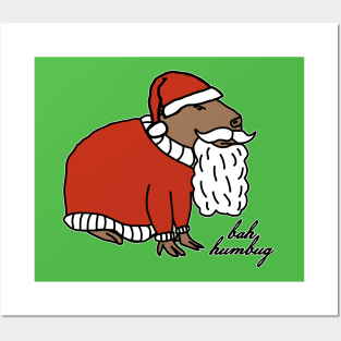 Grumpy Christmas Capybara Santa Claus says Ba Humbug Posters and Art